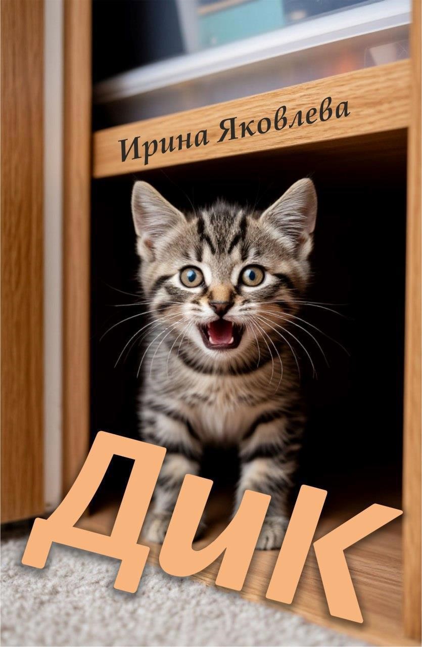 Обложка книги Дик