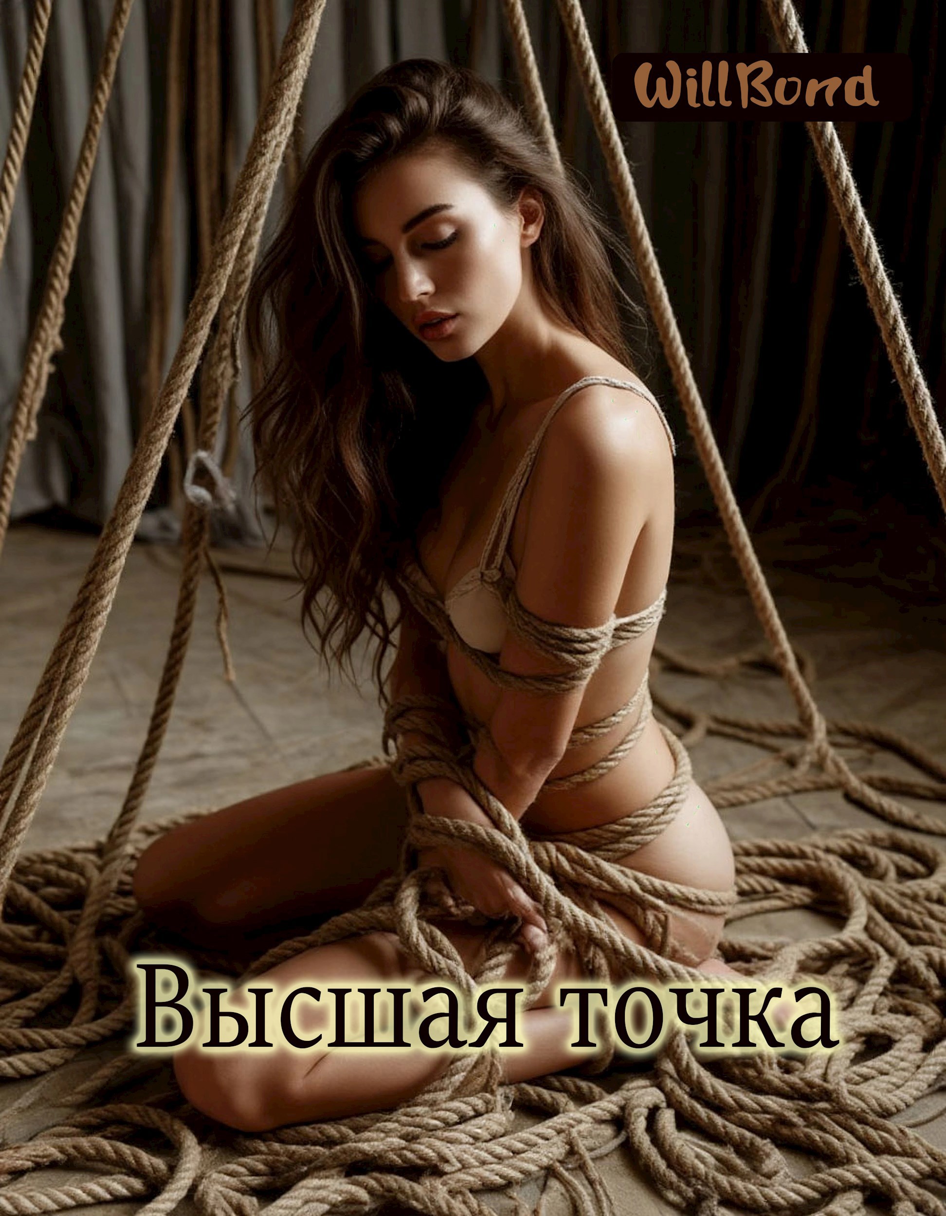 Обложка книги Высшая точка
