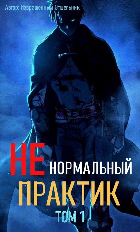 Обложка книги Ненормальный практик 1