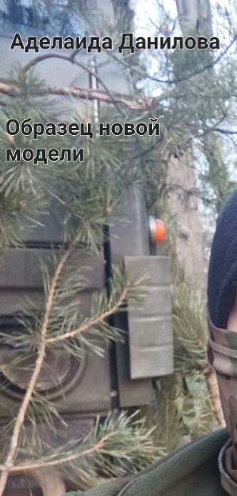 Обложка книги Образец новой модели.