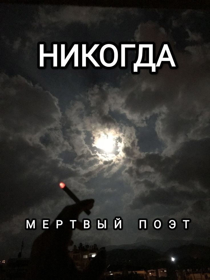 Обложка книги Никогда