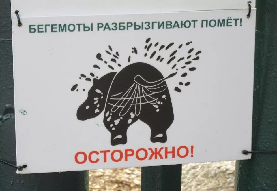 Обложка книги Тазик и ложка