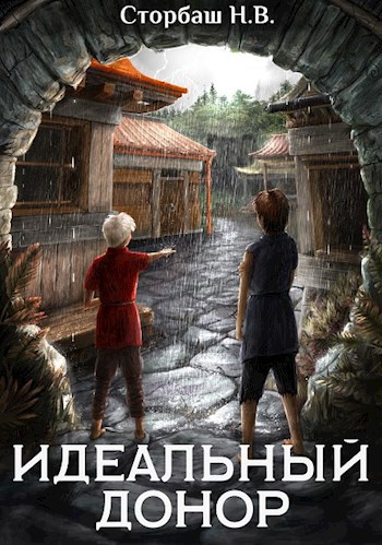 Обложка книги Идеальный донор