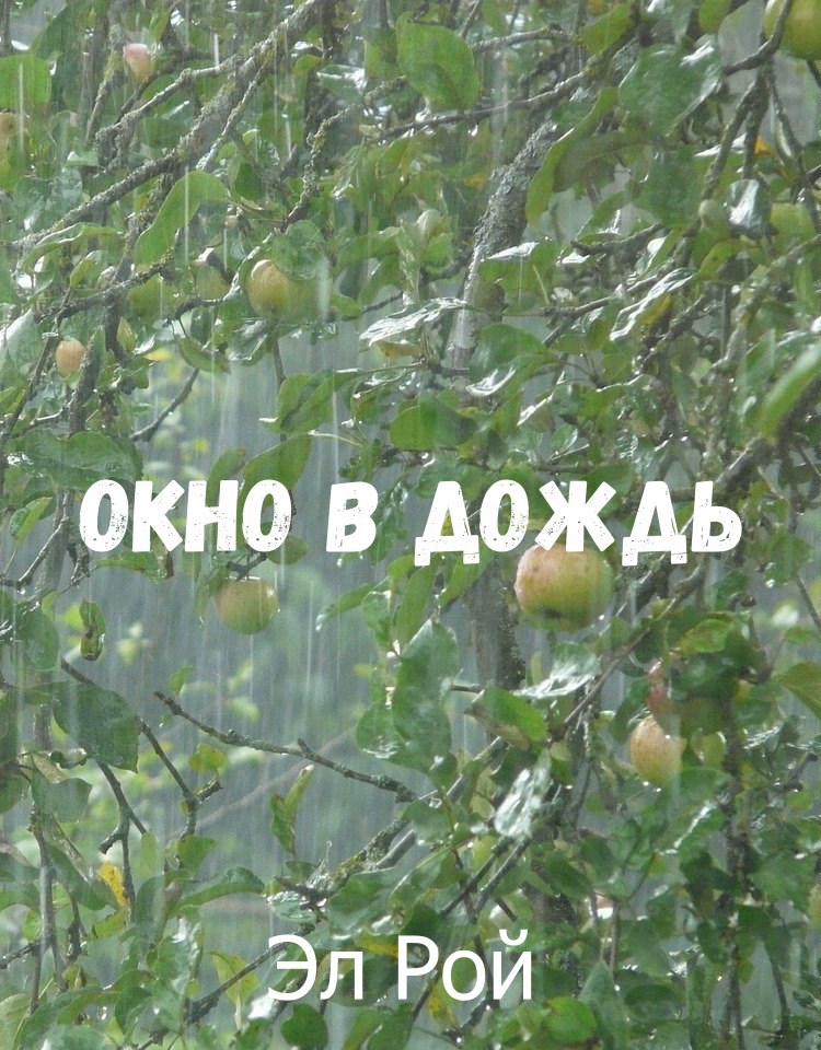 Обложка книги Окна в дождь