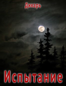 Обложка книги Испытание