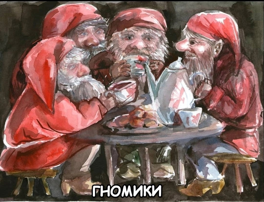 Обложка книги Гномики