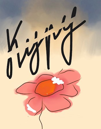 Обложка книги Куру