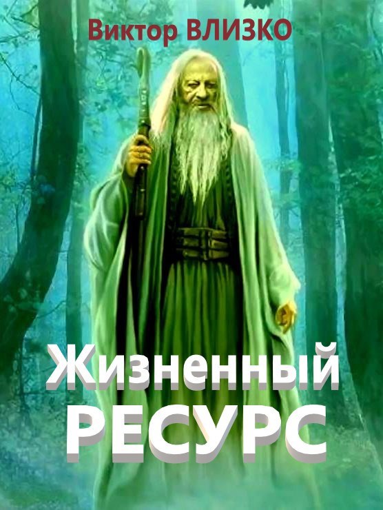 Обложка книги Жизненный ресурс
