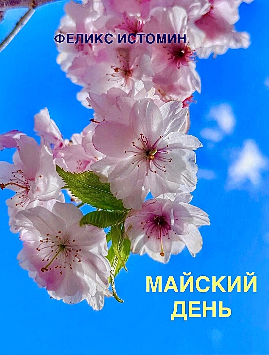 Обложка книги Майский день