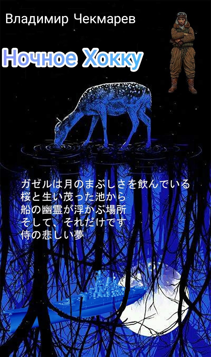 Обложка книги Ночное хокку