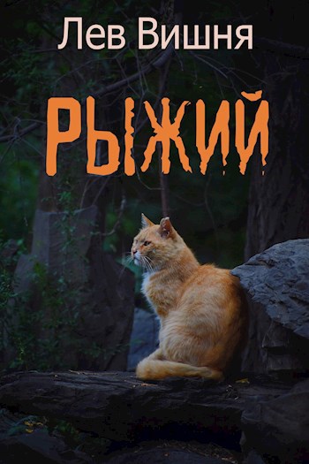 Обложка книги Рыжий