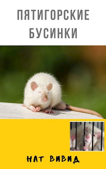 Обложка книги Пятигорские Бусинки