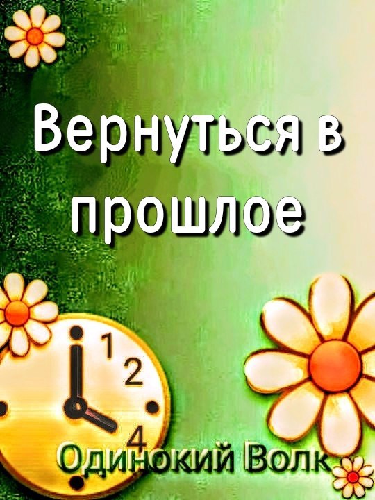Обложка книги Вернуться в прошлое