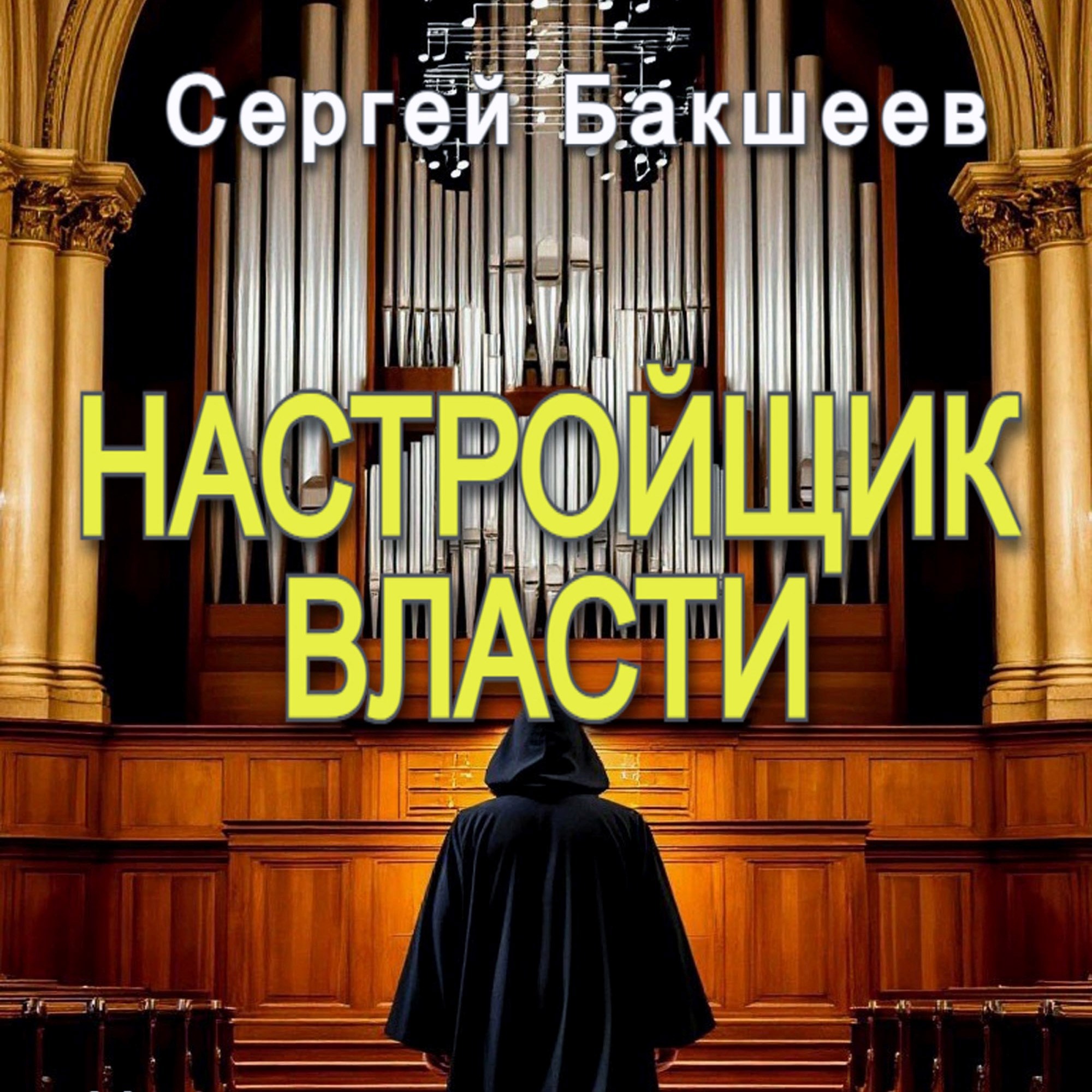 Обложка книги Настройщик власти