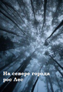 Обложка книги На севере города рос Лес
