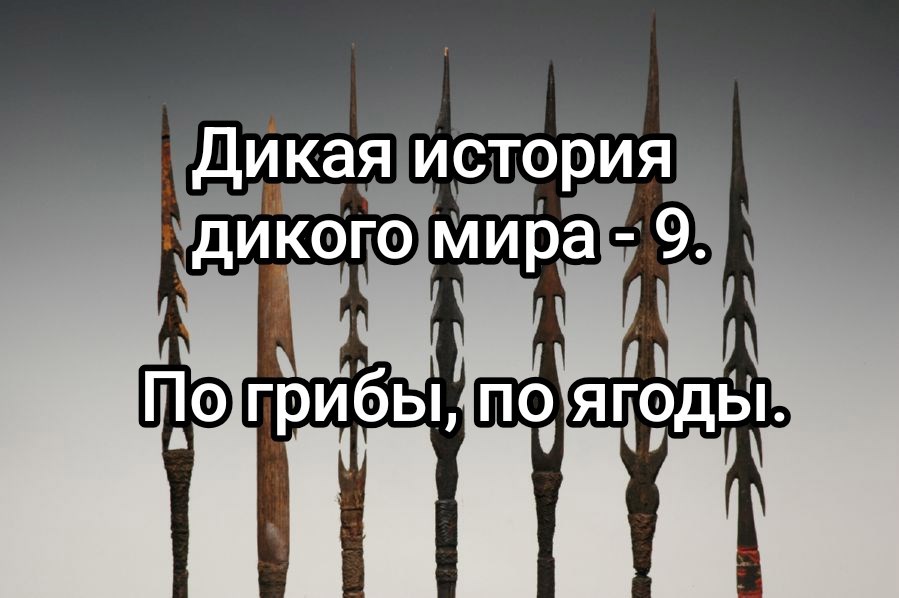 Обложка книги Дикая история дикого мира-9. По грибы, по ягоды.