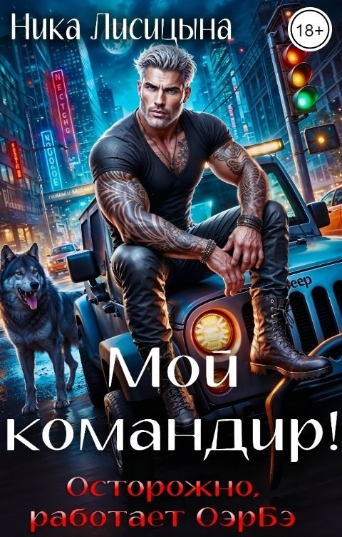 Обложка книги Мой командир!