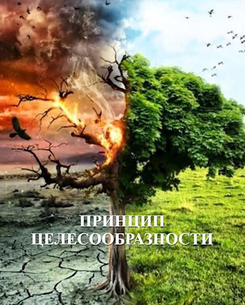 Обложка книги Принцип целесообразности