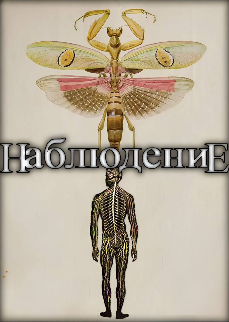 Обложка книги НаблюдениЕ