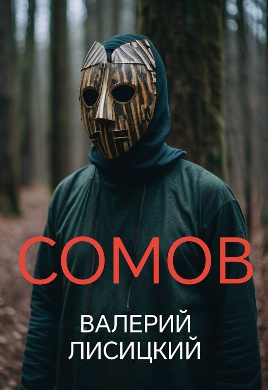 Обложка книги Сомов