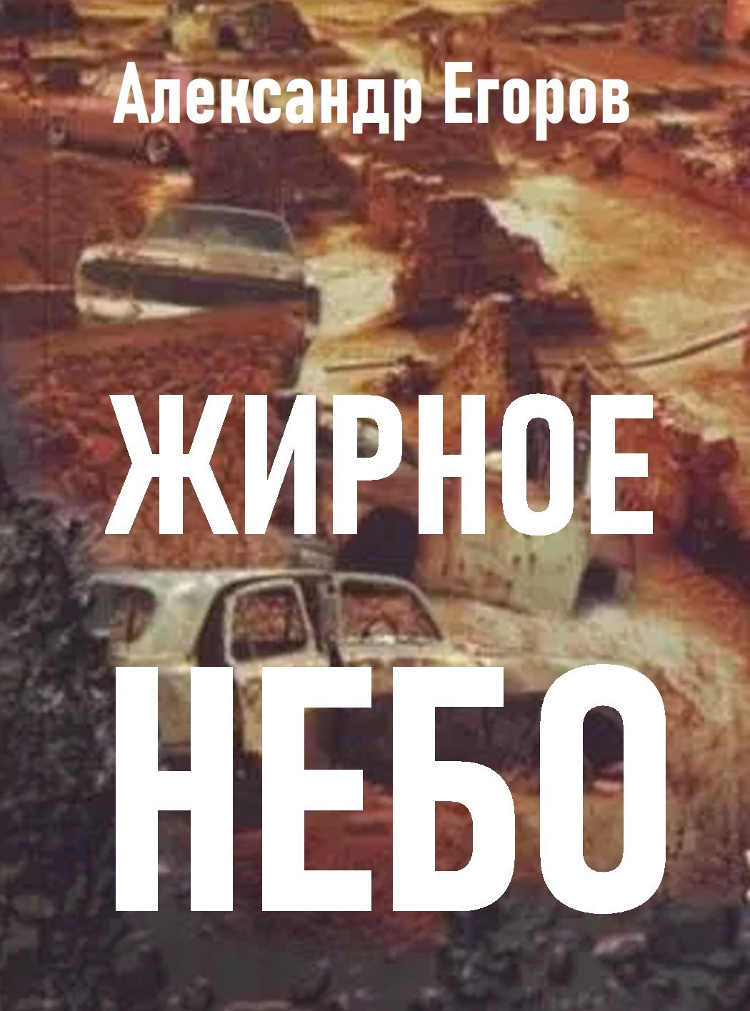 Обложка книги Жирное небо