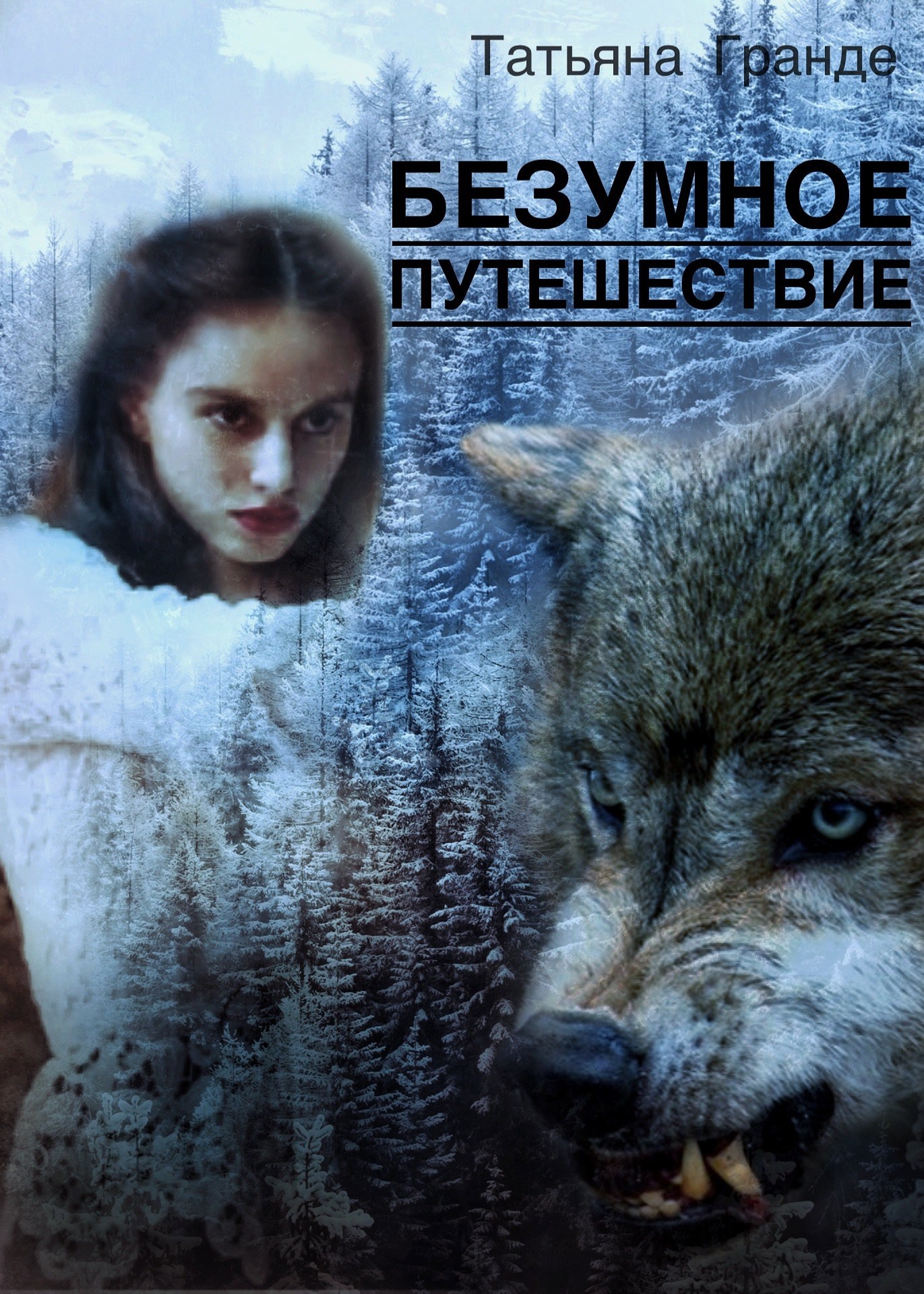 Обложка книги Безумное путешествие