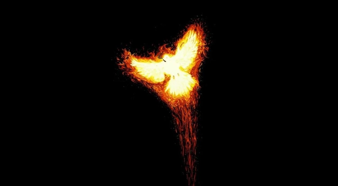 Обложка книги Полет в пустоте