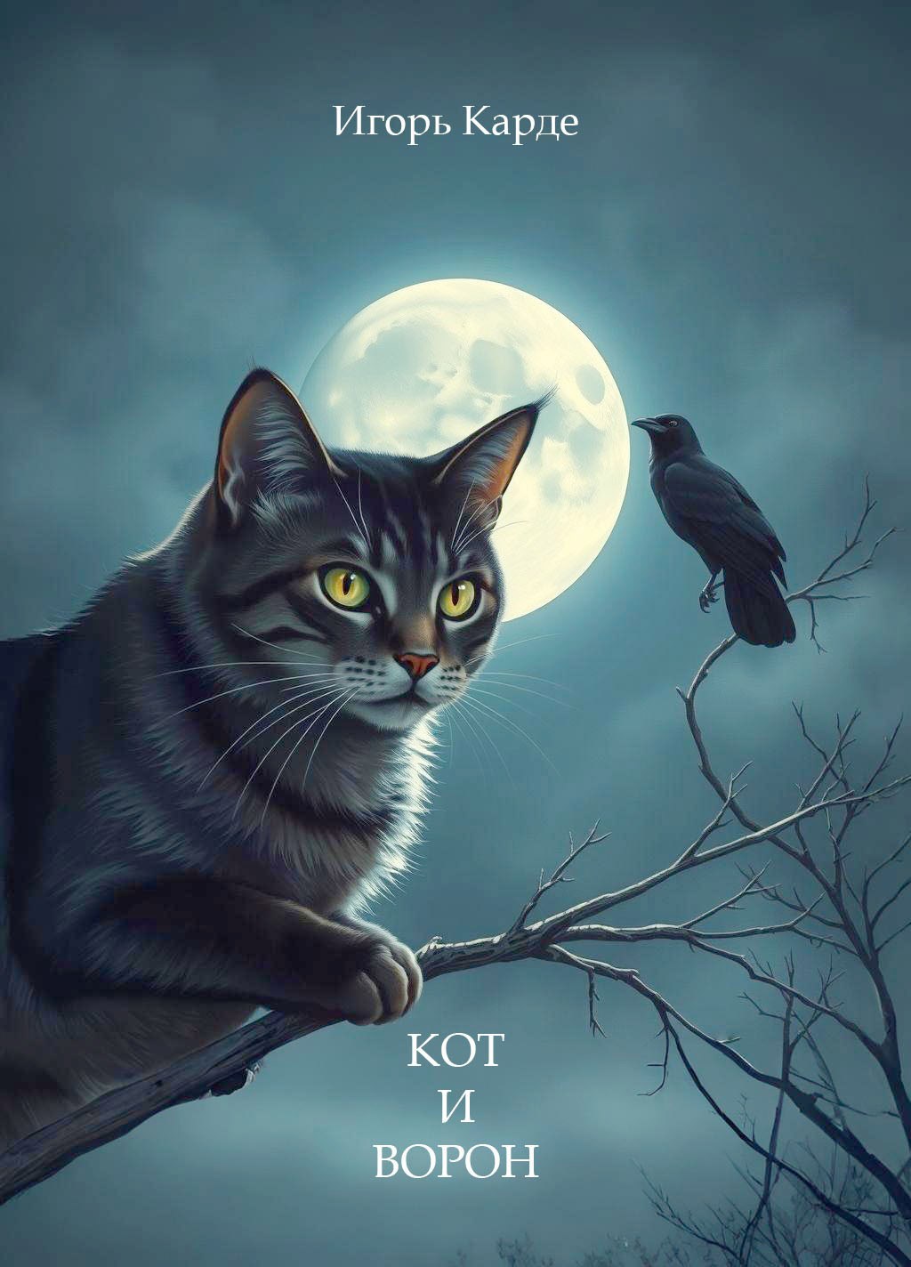Обложка книги Кот и ворон