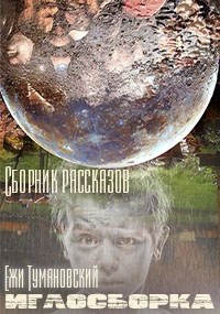 Обложка книги Иглосборка