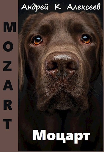 Обложка книги Моцарт