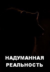 Обложка книги НАДУМАННАЯ РЕАЛЬНОСТЬ