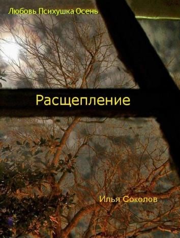 Обложка книги Расщепление