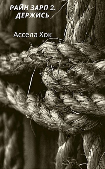 Обложка книги Райн Зарп 2. Держись