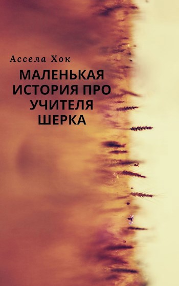 Обложка книги Маленькая история про учителя Шерка