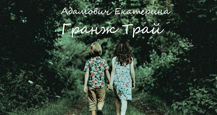 Обложка книги Гранж Трай