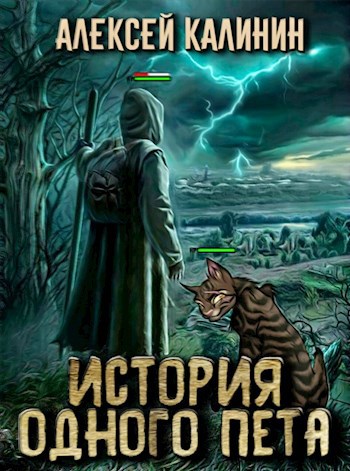 Обложка книги История одного пета