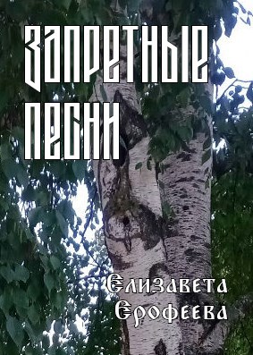 Обложка книги Запретные песни