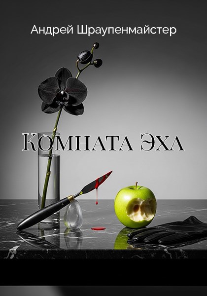 Обложка книги Комната Эха
