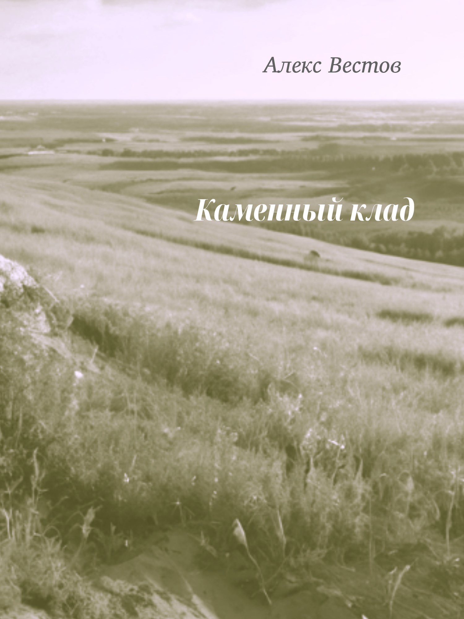Обложка книги Каменный клад
