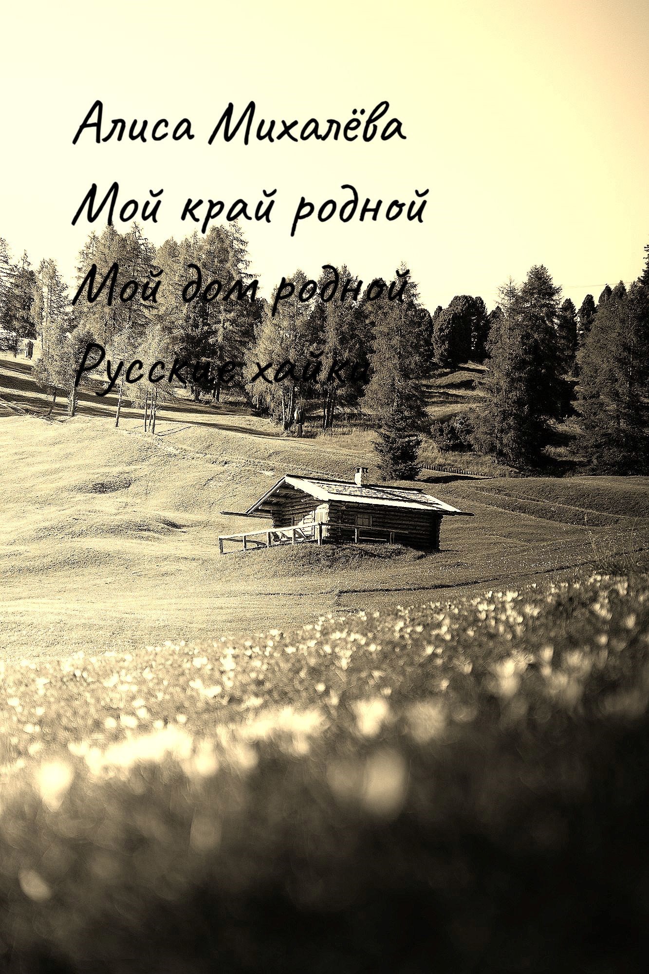 Обложка книги Мой край родной, мой дом родной Русские хайки