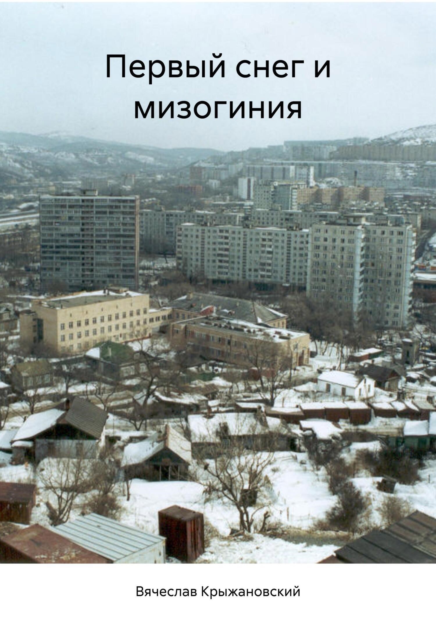 Обложка книги Первый снег и мизогиния