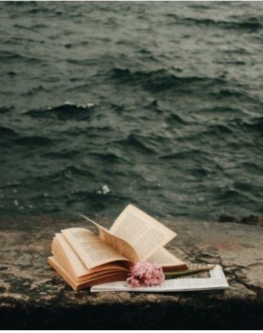 Обложка книги Проба пера