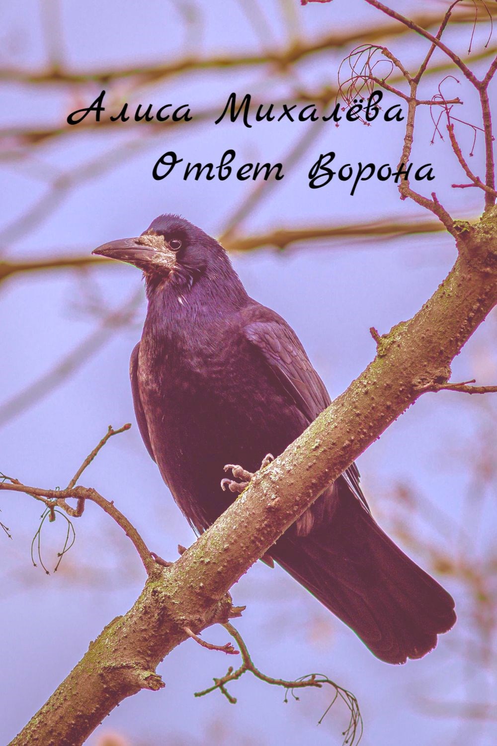 Обложка книги Ответ Ворона