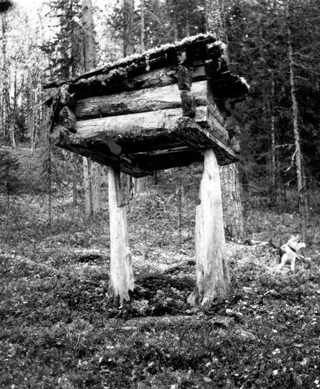 Обложка книги Баба-Яга