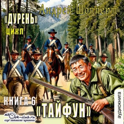 Обложка книги Дурень. Книга шестая. Тайфун