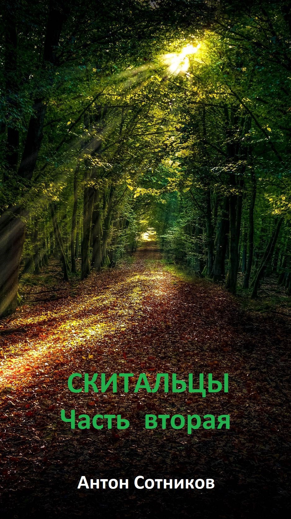 Обложка книги Скитальцы. Часть вторая.