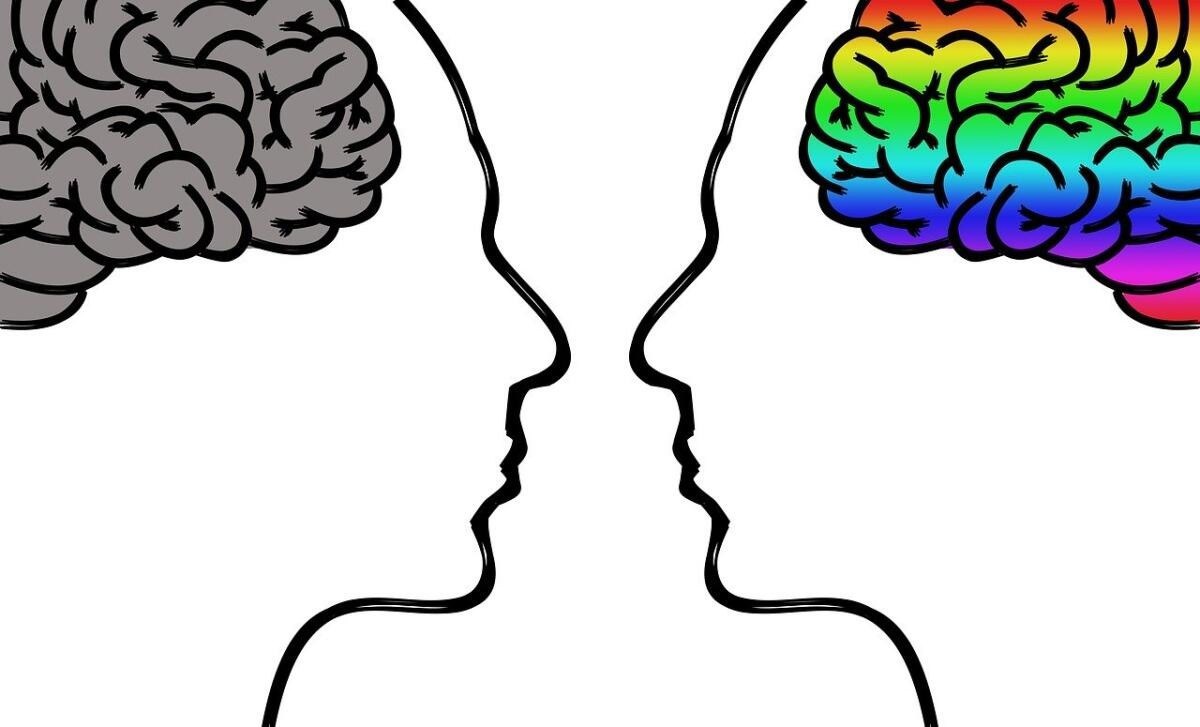 Обложка книги Homo insipiens