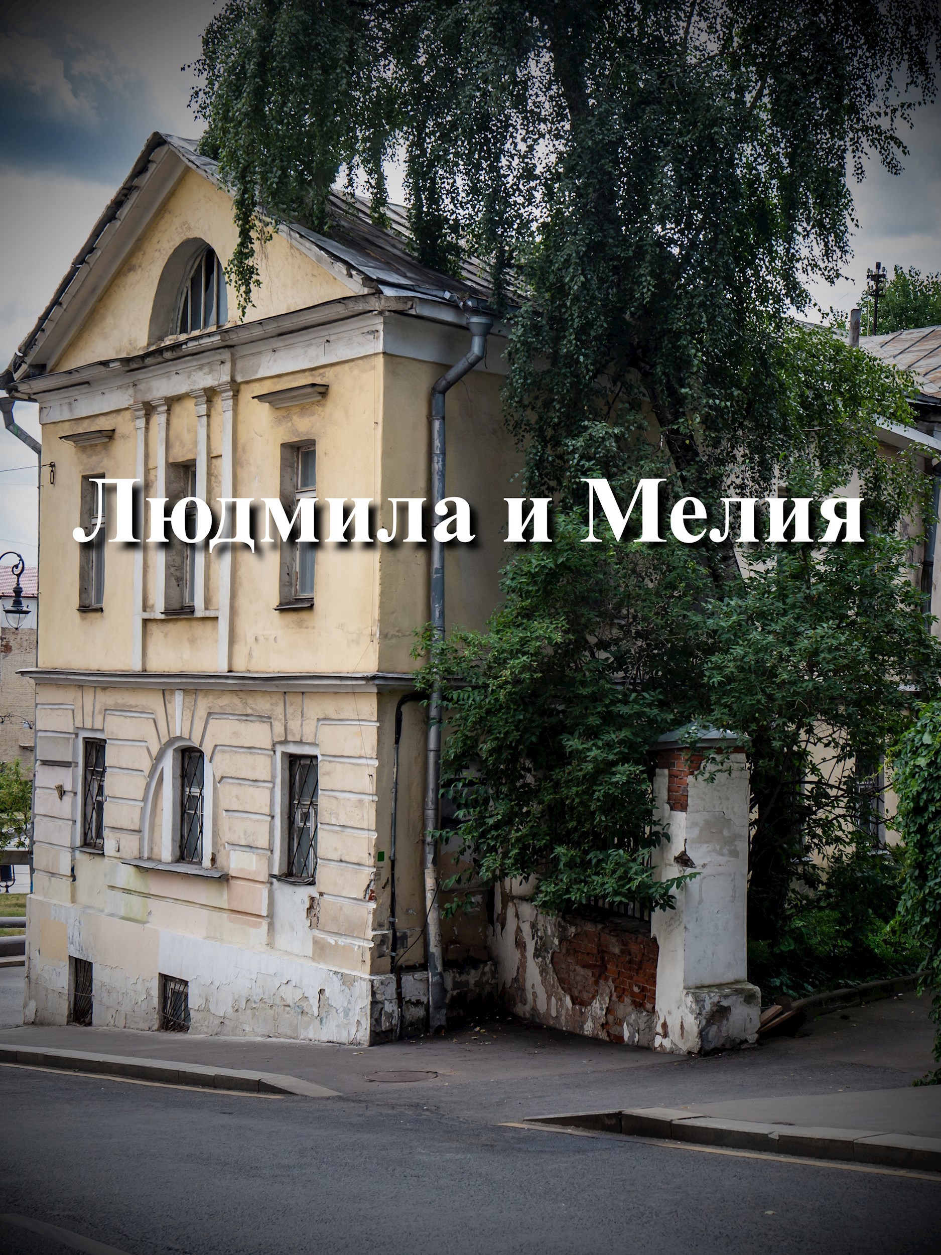 Обложка книги Людмила и Мелия (Владимир Орлов)