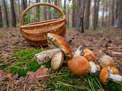 Обложка книги Маленькая просьба