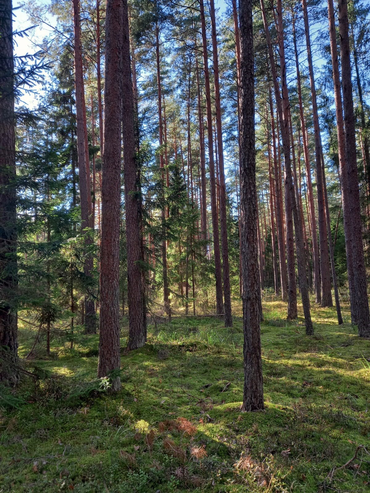 Обложка книги Ты это умеешь...